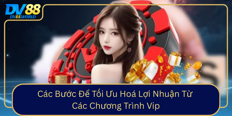 Các Bước Để Tối Ưu Hoá Lợi Nhuận Từ Các Chương Trình Vip Cac Buoc De Toi Uu Hoa Loi Nhuan Tu Cac Chuong Trinh Vip