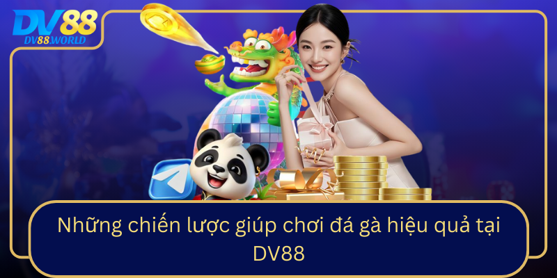 Những chiến lược giúp chơi đá gà hiệu quả tại DV88 Những chiến lược giúp chơi đá gà hiệu quả tại DV88